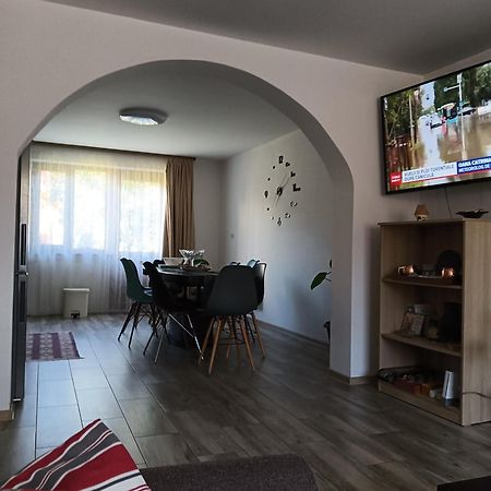 Casa Cerbului Apartment Viseu de Sus Bagian luar foto