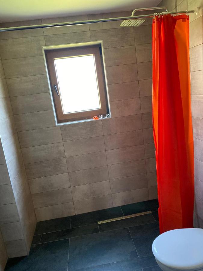 Casa Cerbului Apartment Viseu de Sus Bagian luar foto