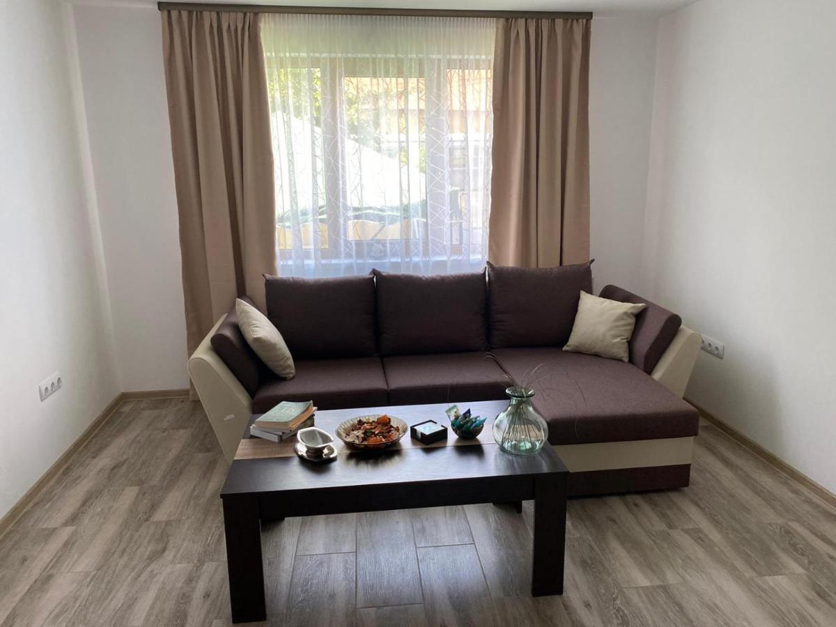 Casa Cerbului Apartment Viseu de Sus Bagian luar foto