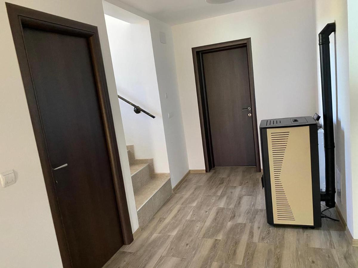 Casa Cerbului Apartment Viseu de Sus Bagian luar foto