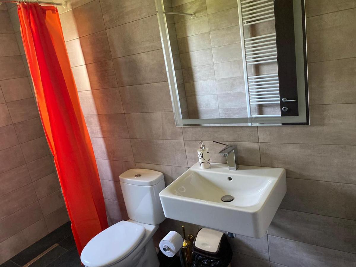 Casa Cerbului Apartment Viseu de Sus Bagian luar foto