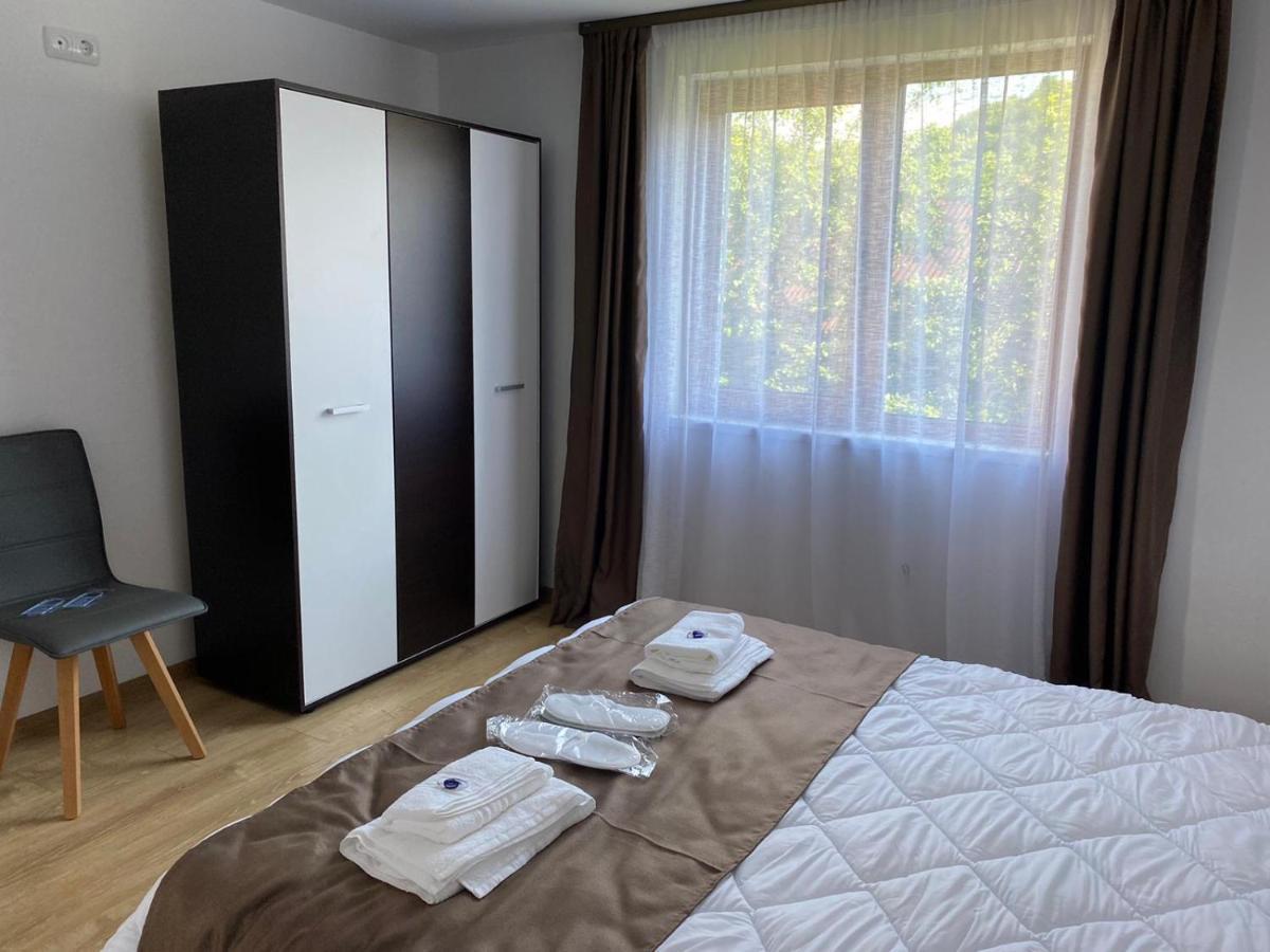 Casa Cerbului Apartment Viseu de Sus Bagian luar foto