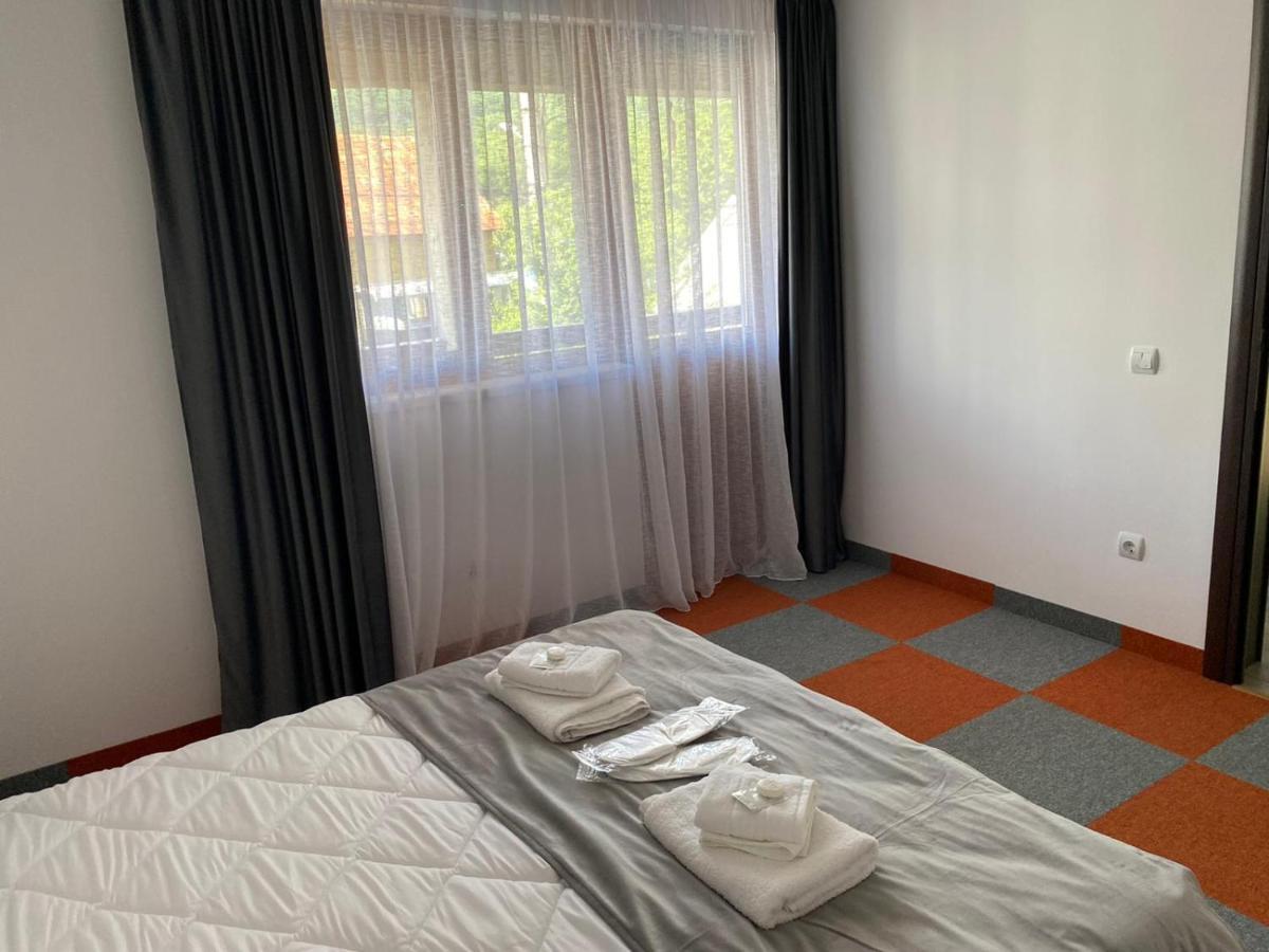 Casa Cerbului Apartment Viseu de Sus Bagian luar foto