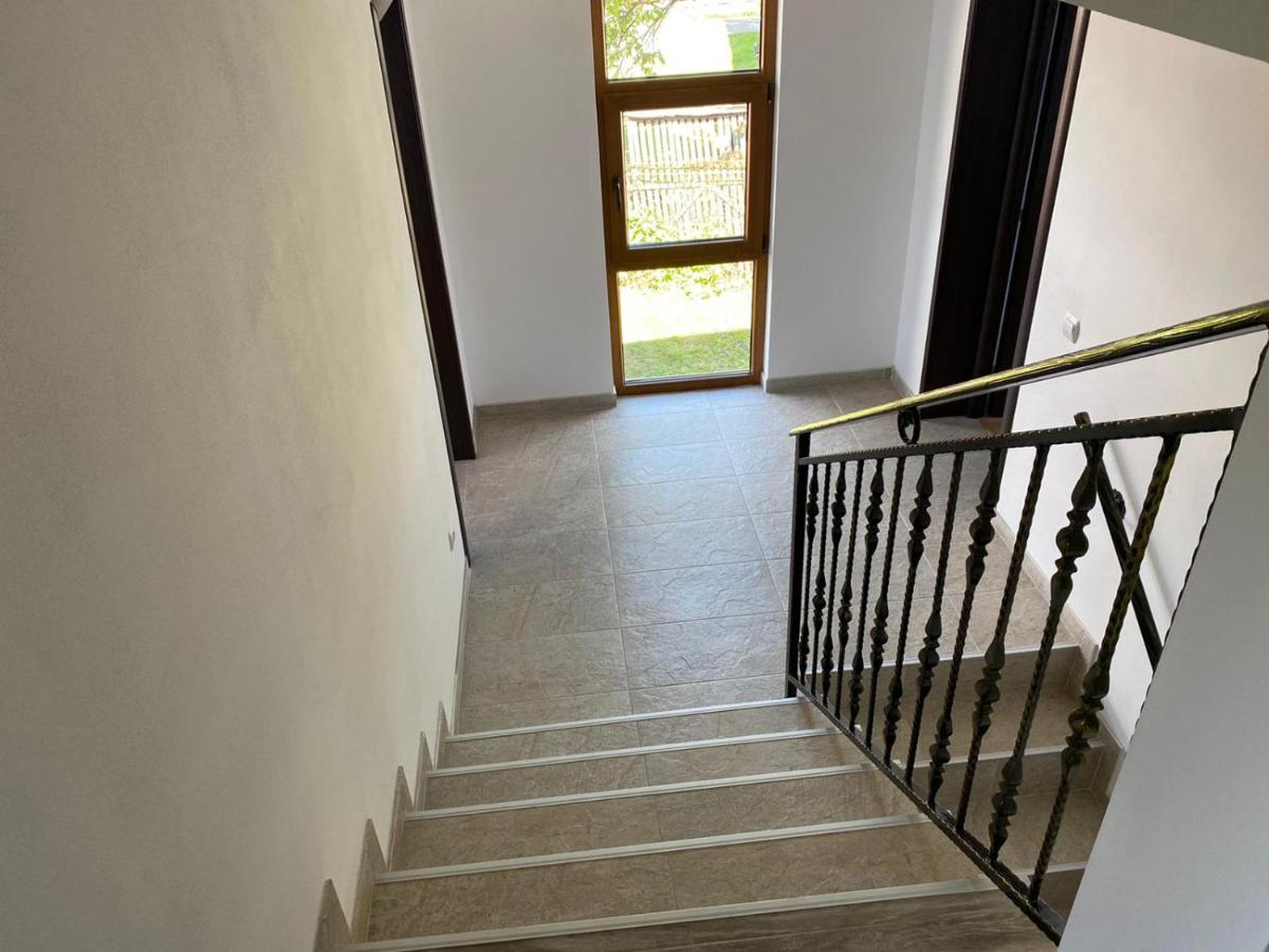 Casa Cerbului Apartment Viseu de Sus Bagian luar foto