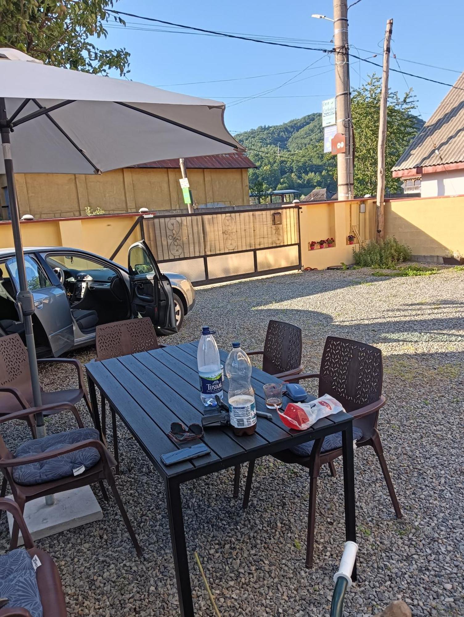 Casa Cerbului Apartment Viseu de Sus Bagian luar foto