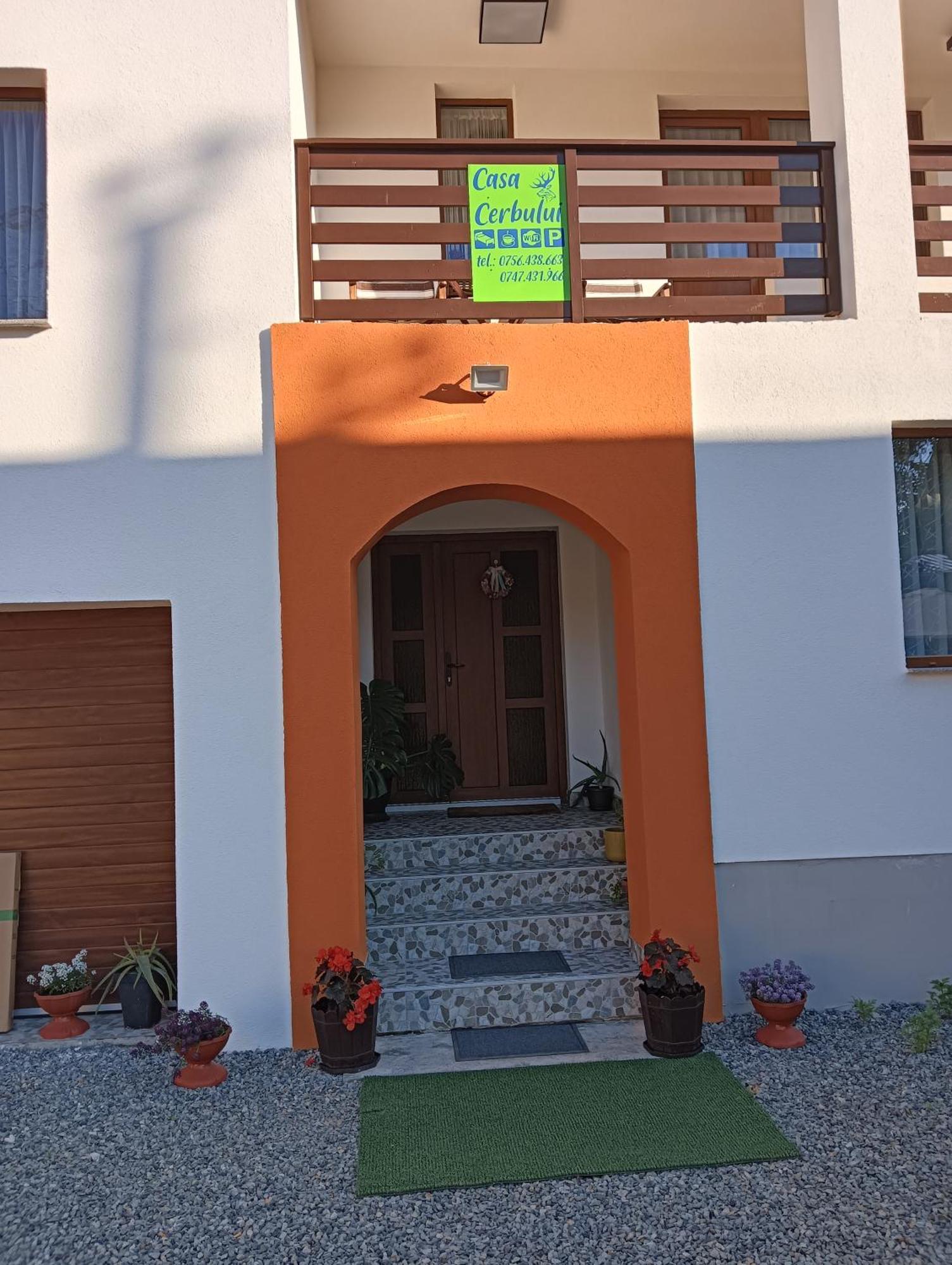 Casa Cerbului Apartment Viseu de Sus Bagian luar foto